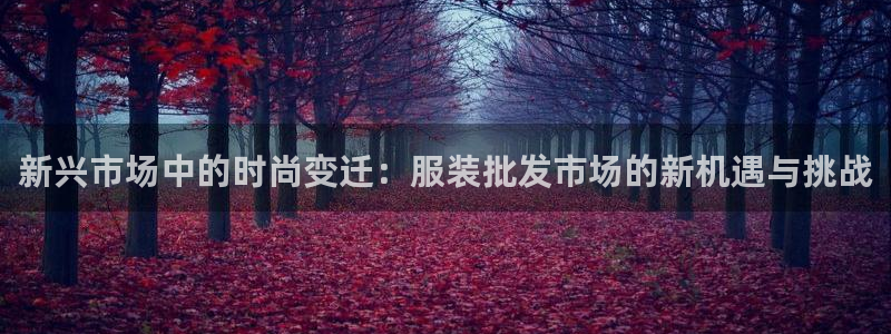 华润娱乐总管48793