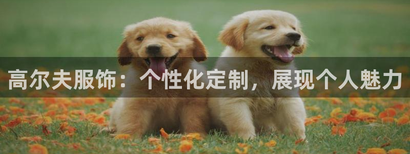 高州华润娱乐项目