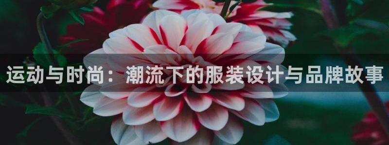 华润娱乐科技