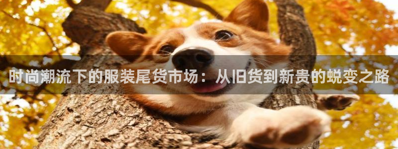 华润娱乐城