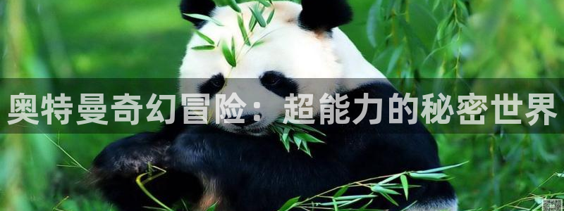 华润娱乐行政面试难吗