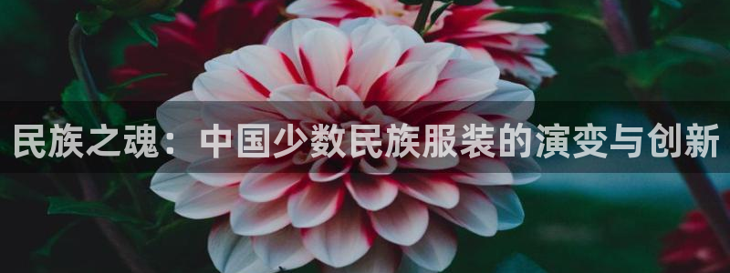 华润的娱乐项目
