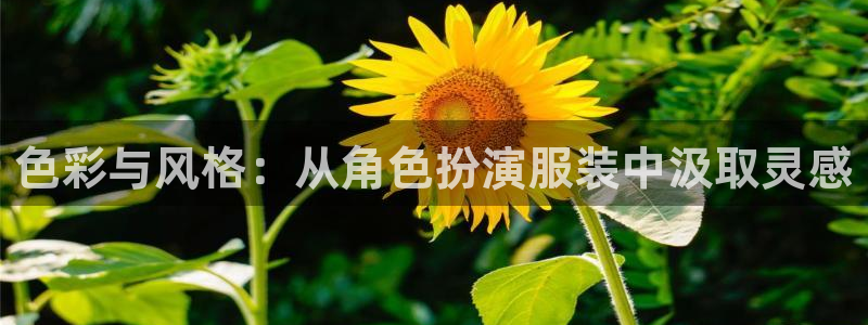 华润2娱乐平台主管