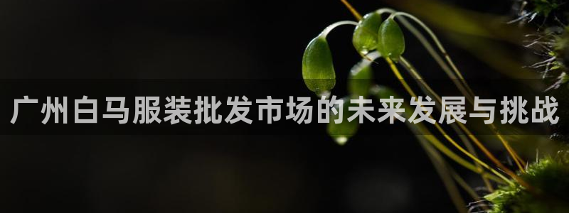 华润娱乐舱122222