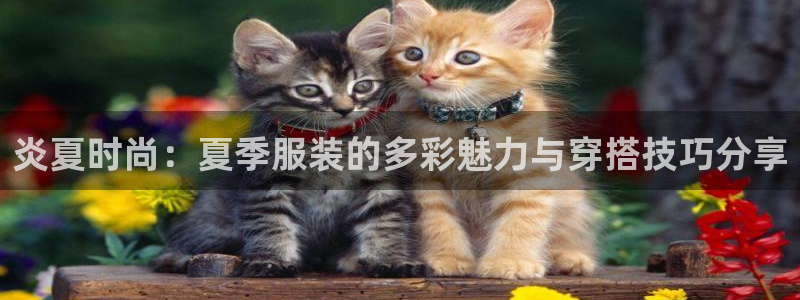 华润娱乐味92222