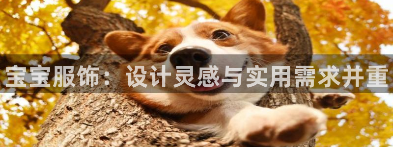 华润娱乐指尖得