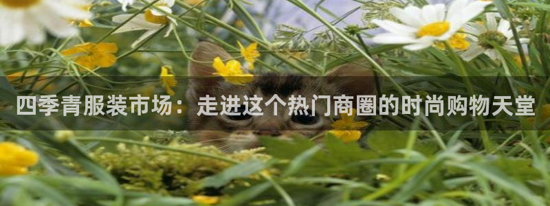 华润娱乐a3指尖