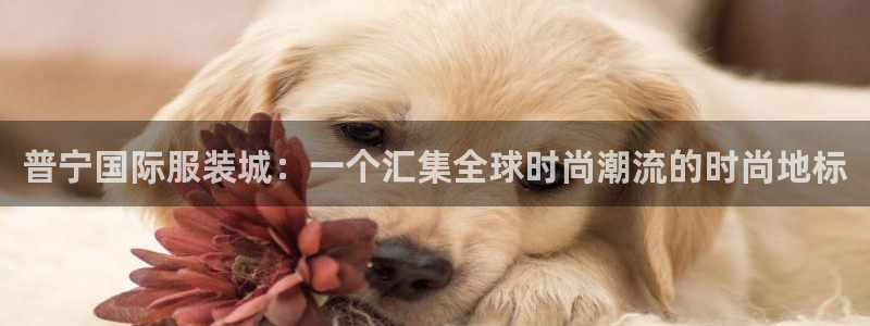 华润娱乐巾67五壹叁八：普宁国际服装城：