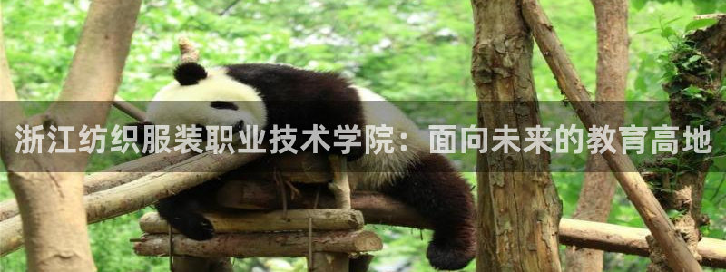 华润娱乐先122222