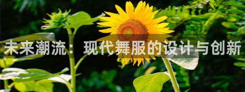 华润娱乐去深圳文案