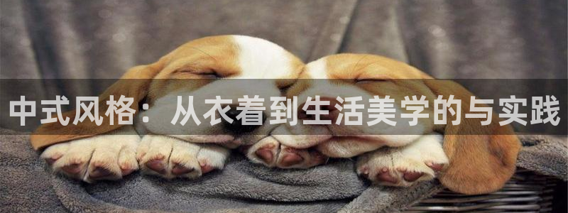 华润二十四城娱乐