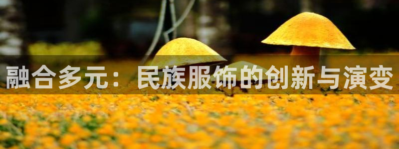 华润娱乐平台app