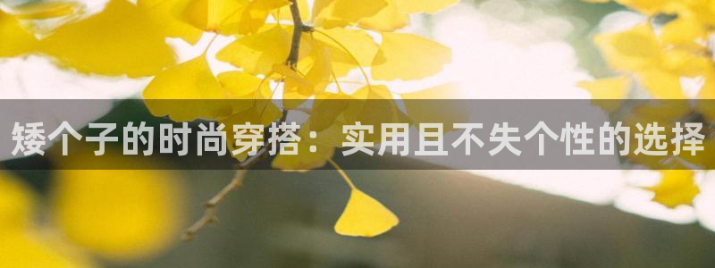 华润集团有娱乐公司吗