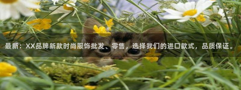 华润娱乐13y娱乐333OO