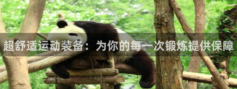华润娱乐开