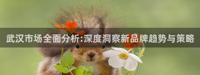 华润娱乐刣q675.138