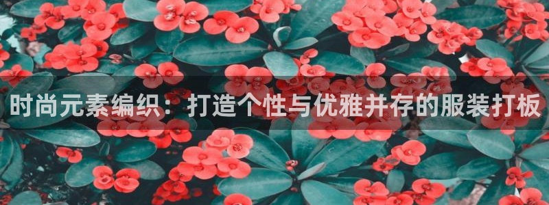 华润集团娱乐公司