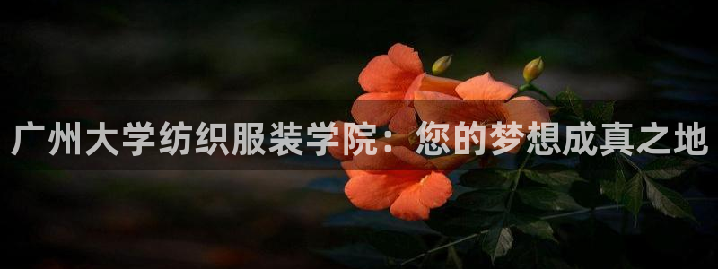 华润集团有娱乐公司吗