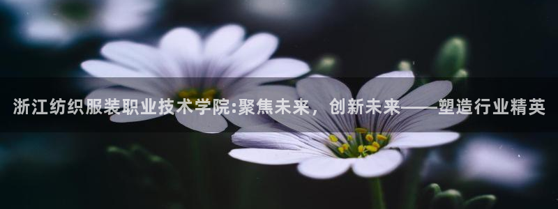 华润娱乐找382223