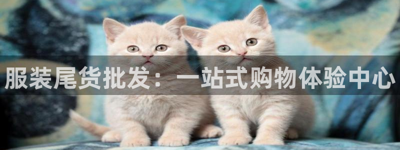 华润娱乐公司