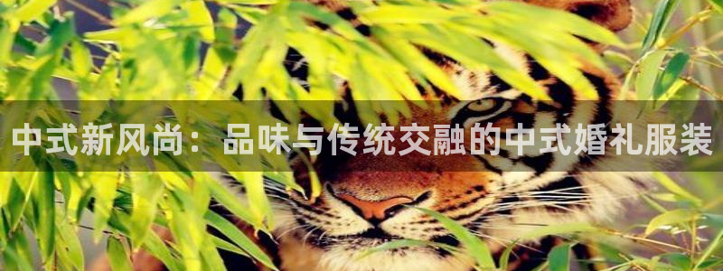 华润娱乐雍95692
